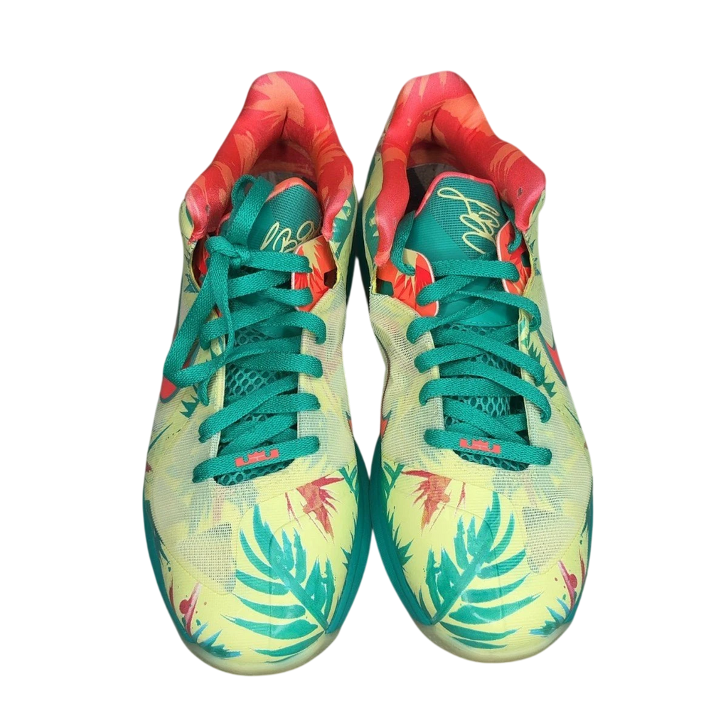 Nike LeBron 9 Low LeBronald Palmer (2022) (Size 10)