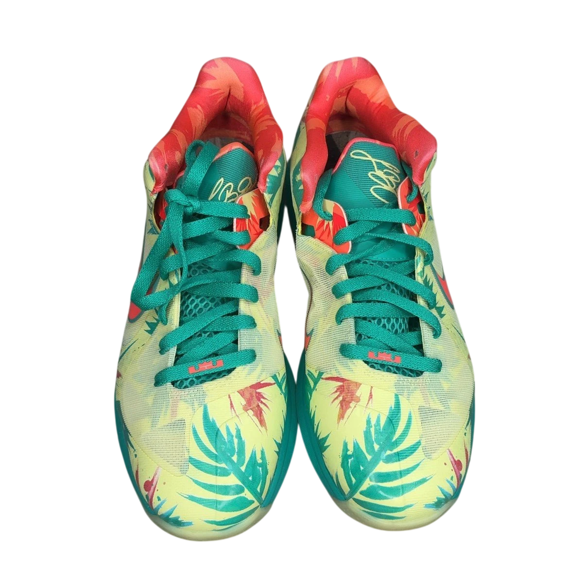 Nike LeBron 9 Low LeBronald Palmer (2022) (Size 10)