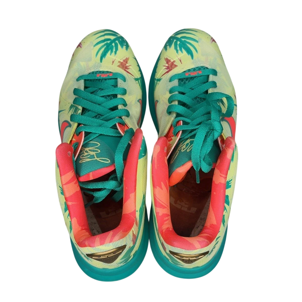 Nike LeBron 9 Low LeBronald Palmer (2022) (Size 10)
