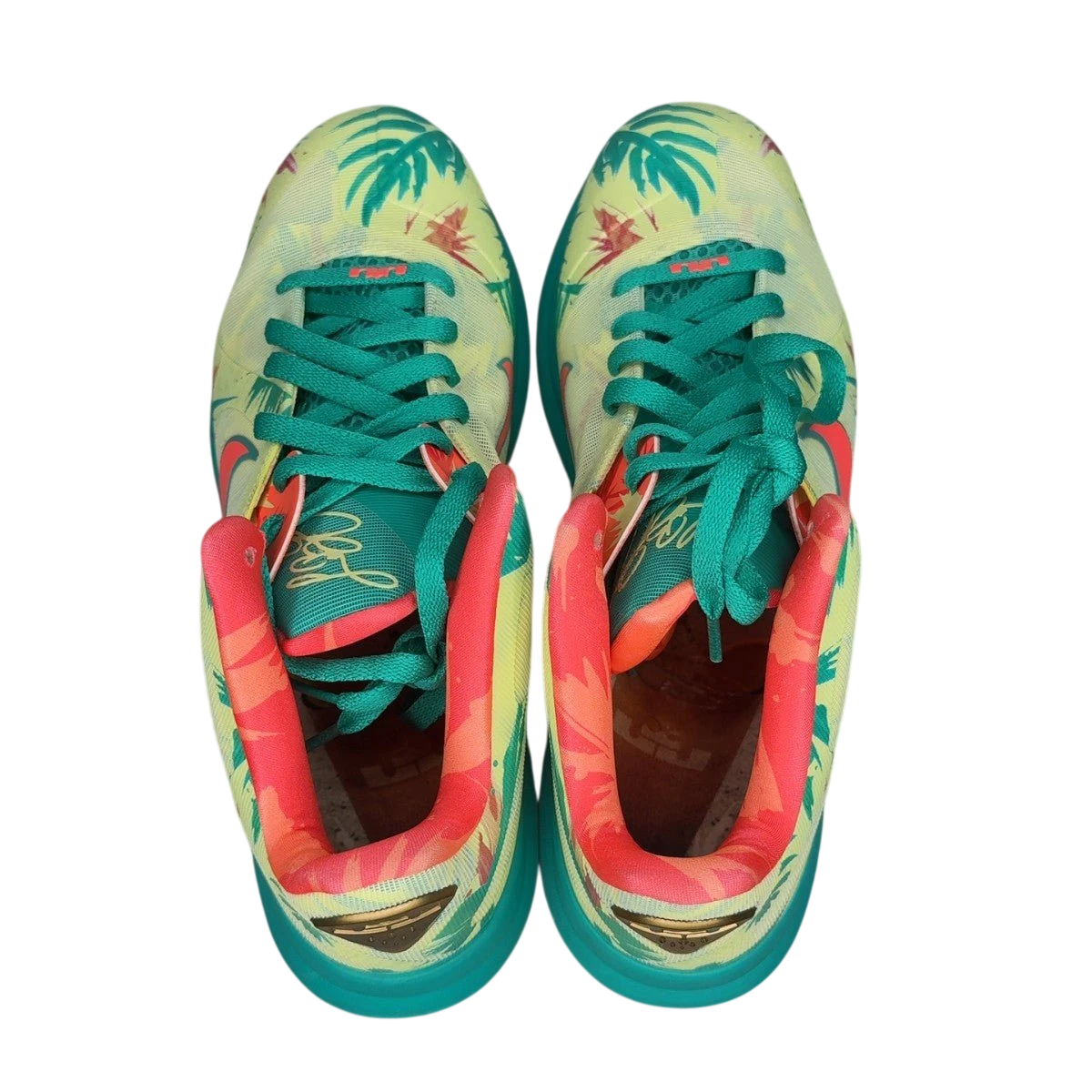 Nike LeBron 9 Low LeBronald Palmer (2022) (Size 10)