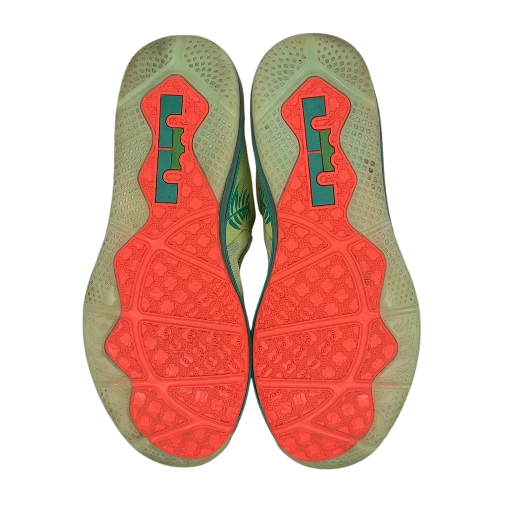 Nike LeBron 9 Low LeBronald Palmer (2022) (Size 10)