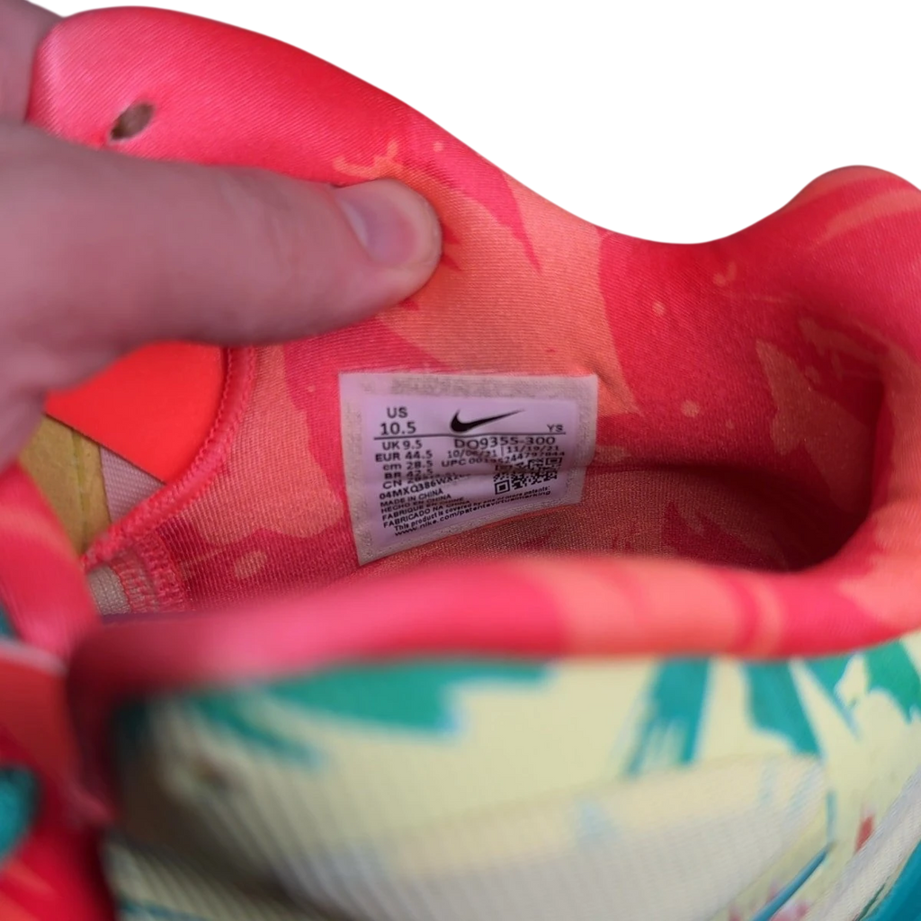 Nike LeBron 9 Low LeBronald Palmer (2022) (Size 10)