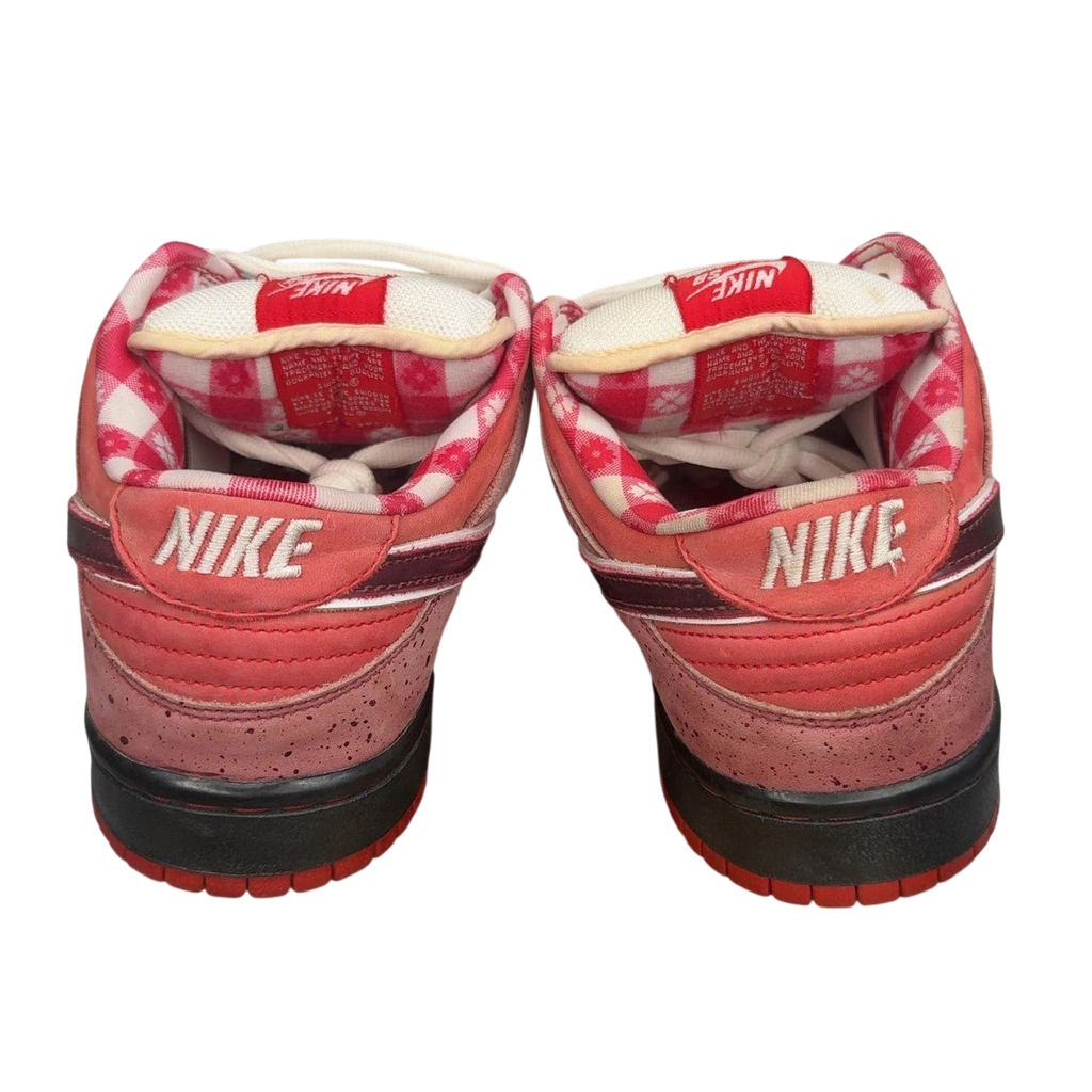 Nike SB Dunk Low Concepts Red Lobster (Size 11)