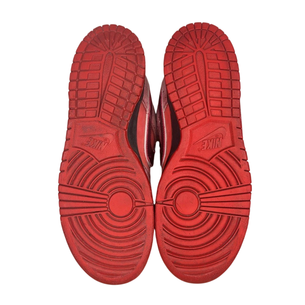 Nike SB Dunk Low Concepts Red Lobster (Size 11)
