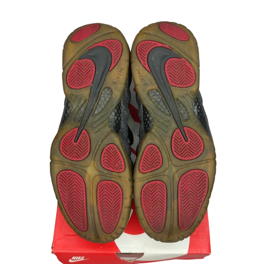 Nike Air Foamposite Pro Wool Fleece (Size 11)